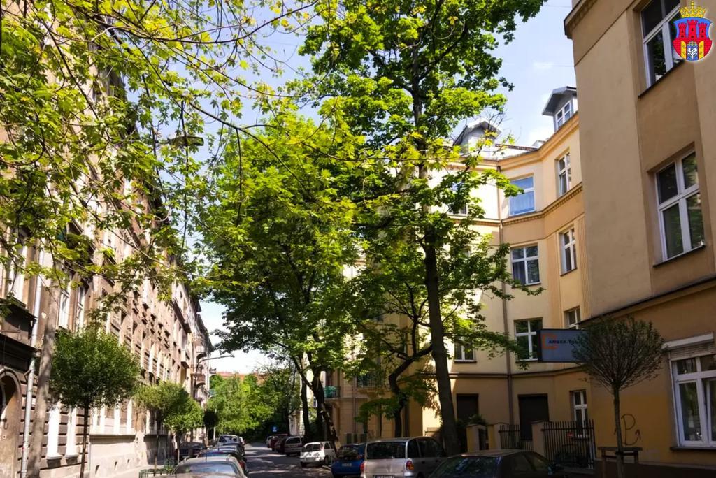 Live Like Locals: Market Square X Jewish District Krakau Kamer foto